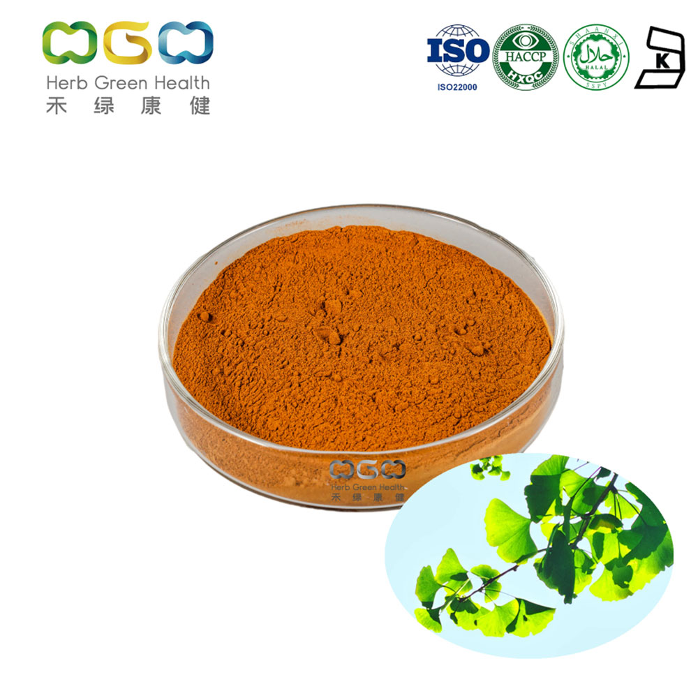 Patentierter Ginkgo-Biloba-Extrakt Flavon &gt; 1 % CP2015/USP40/EP9.0