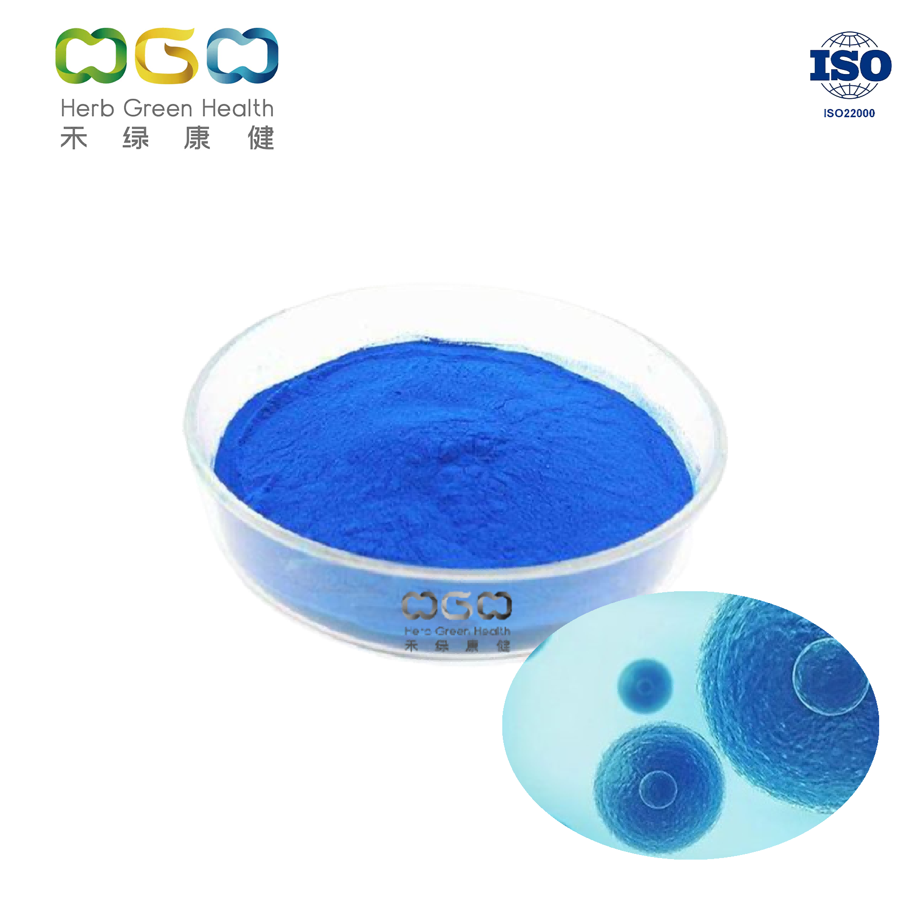 Natürliches Phycocyanin (Blue Spirulina Extract) Farbwert ±E18,0 (1% 618nm)