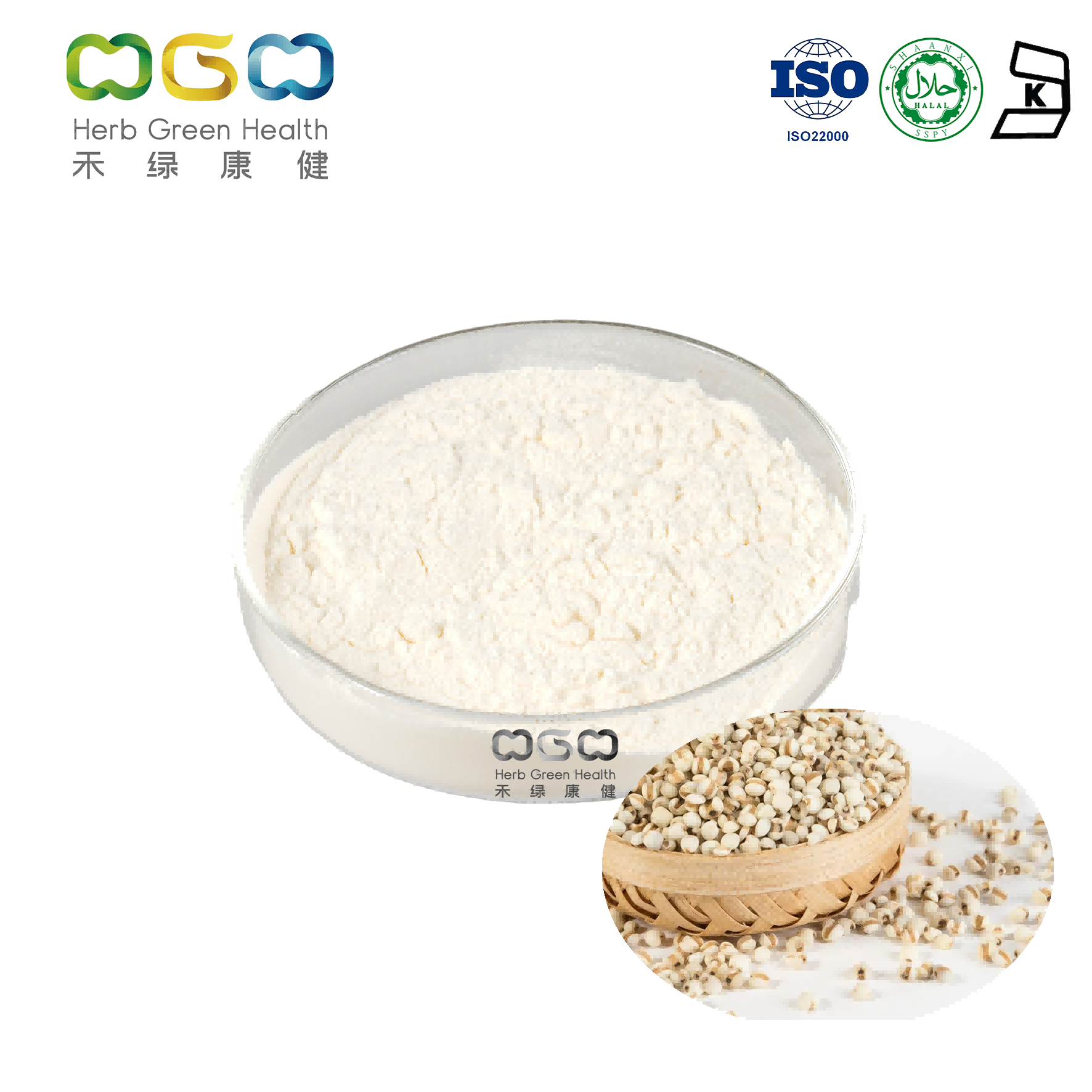 Coix Seed Extract / Job's Tear Extract Polysaccharide 30% zur Gewichtskontrolle