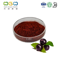 Acai SD-Pulver Beliebtes Antioxidans zum Schutz des Herz-Kreislauf-Systems