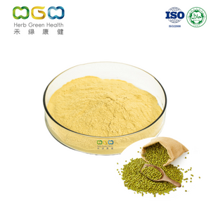 Factory Supply Plant Protein Mungobohnenprotein zum Ersetzen von tierischem Protein